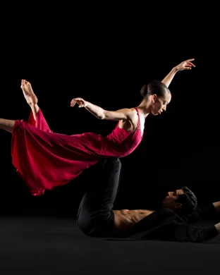 Burn the Floor: Maks & Peta Live